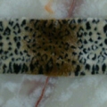 CCA2284