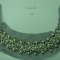 CCA2365-COL.2