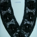 CCA2494