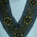 CCA2498