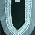 CCA2579