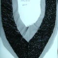 CCA2850