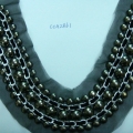 CCA2861
