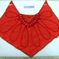 CCA2896