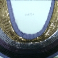CCA2910