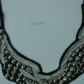 CCA3101