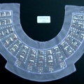 CCA3558col.2