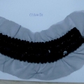 CCA4170