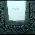 CCA4231