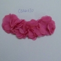 CCA4370