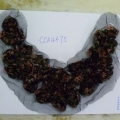 CCA4375