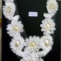 CCA4455.W