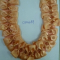 CCA4689