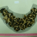 CCA5232