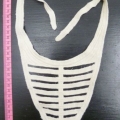 CCA5397