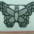 CCA5551