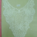 CCA5554-Colour-2