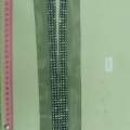 CCA5689