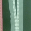 CCA5691
