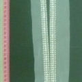 CCA5693