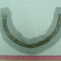 CCA5698