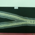 CCA5818