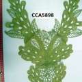 CCA5898