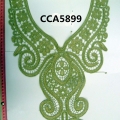 CCA5899