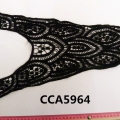 CCA5964 (2)