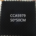 CCA5979