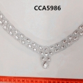 CCA5986