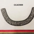 CCA5989