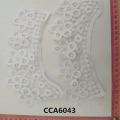CCA6043