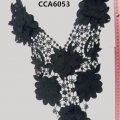 CCA6053