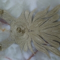 CCA6175 COL.1