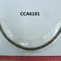 CCA6181