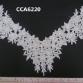 CCA6220