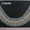 CCA6289