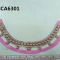 CCA6301
