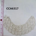 CCA6317