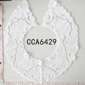 CCA6429