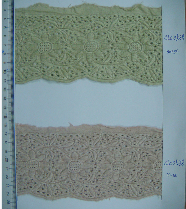 CLC0538-