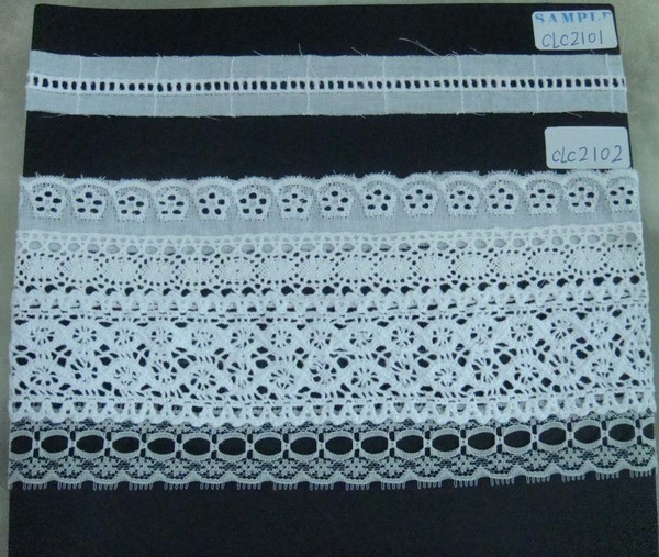 CLC2101-2102