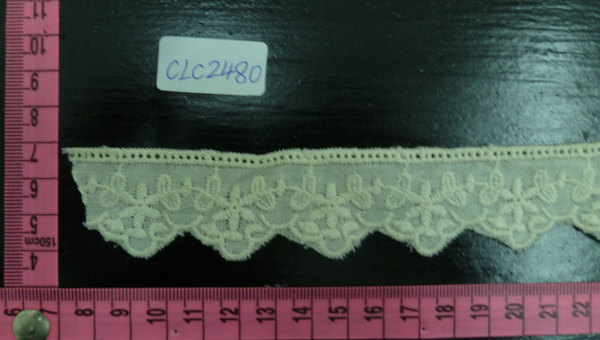 CLC2480
