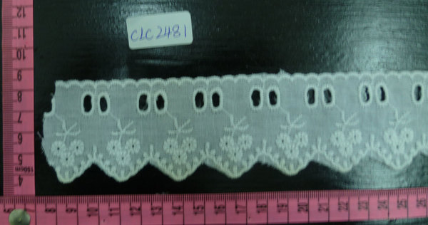 CLC2481