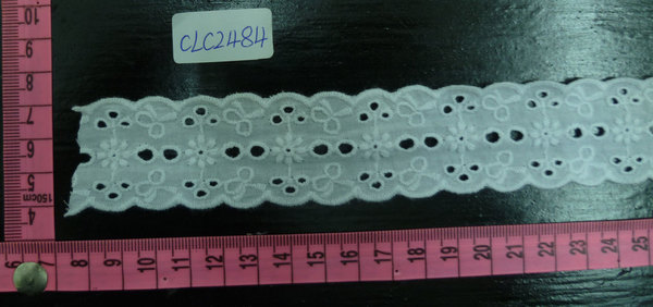 CLC2484