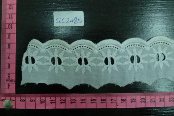 CLC2485