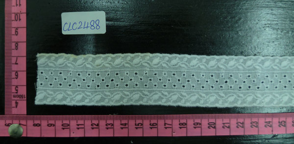 CLC2488