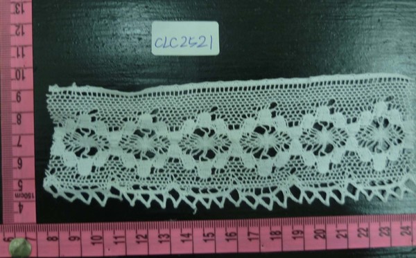 CLC2521