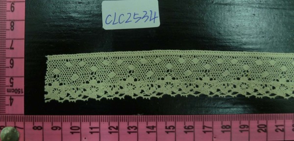 CLC2534